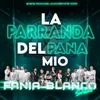 About La Parranda del Pana Mio Song