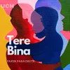 Tere Bina