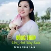 About Đồng Tháp Đón Ánh Nắng Xuân Song