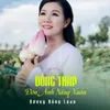 Đồng Tháp Đón Ánh Nắng Xuân