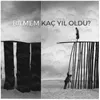 About Bilmem Kaç Yıl Oldu? Song