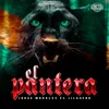 About El Pantera Song