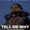 About Tell Me Why Song