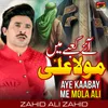 About Aye Kaabay Me Mola Ali Song