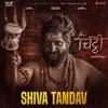 About Shiva Tandav (From "Chitthi") Song