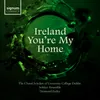 About Ireland You're My Home Song