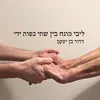 ליבי מונח