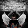 About Ave de Paso Song