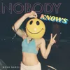 About Nobody Knows Song