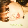 About Wildflower Song