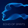 About Echo of Spirits Song