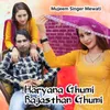 Haryana Ghumi Rajasthan Ghumi