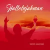 About Hallelujah Man Song