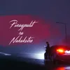 About Pinagpalit Sa Nakakotse Song