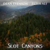 About Slot Canyons Song