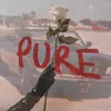 About Pure Song