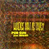 About Pur Sun Song