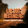 About Las Dos Hectáreas Song