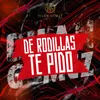 About De Rodillas Te Pido Song