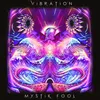 About Vibration Song