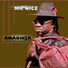 About Amagintsa (feat. Bravocious & Sanza Makhafula) Song