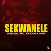 About Sekwanele Song