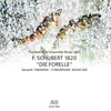 Quintett in A, D 667 - Op. post. 114 "Die Forelle": III. Scherzo, Presto