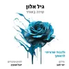 About ולכבוד שרציתי לראותך Song