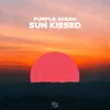 About Sun Kissed Song