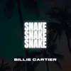 About SNAKE Song