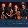 Piano Quartet, Op. 3: I. Andante maestoso - Allegro appassionato