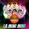 About La Mini Mini Song