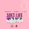 About Soft Life Song