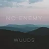 About No Enemy Song