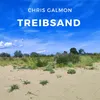 About Treibsand Song