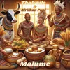 About Malume Song