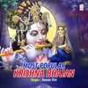 About Most Popular Krishna Bhajan Song