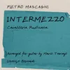 Mascagni: Cavalleria Rusticana: Intermezzo (Arr. for Guitar by Marco Tamayo)