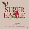 About Super Eagle Song