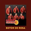 About Boton De Rosa Song