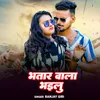 About Bhatar Wala Bhailu Song