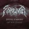 About Dying Embers of Solitude Song