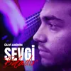 About Sevgi Bəladır Song