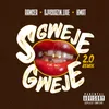 About Sgwejegweje 2.0 Song