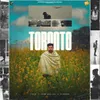 About Toronto Song