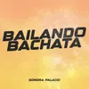 About Bailando Bachata Song