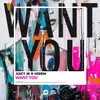 About Want You Song