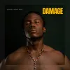 About Damage Song