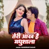 About Teri Aankh Hai Madhushala Song