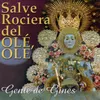 About Salve Rociera del Olé Olé Song